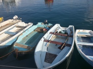 Cinque Terre e dintorni